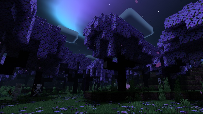 Newb-Complementary-Shader-minecraft