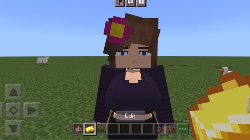 jenny-addon-skin