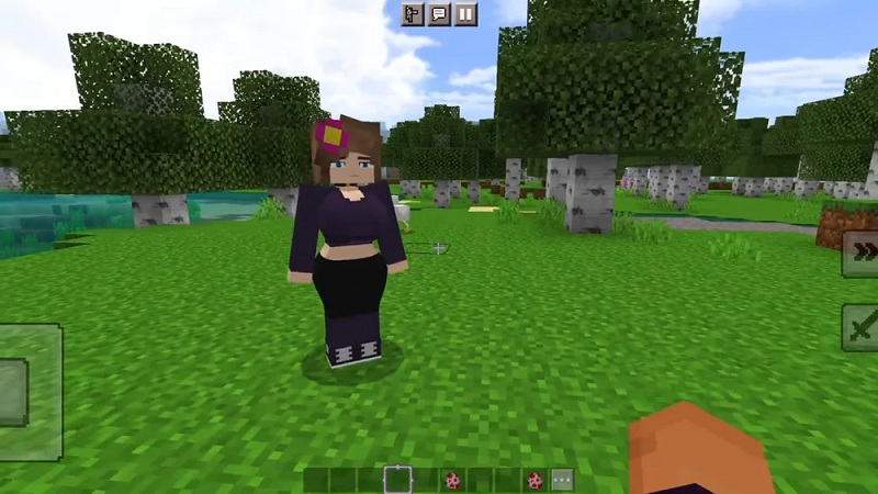 jenny-addon