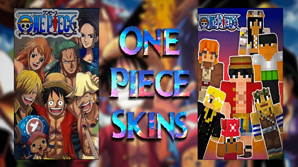 One Piece Skin