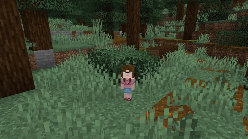 transform-into-baby-addon-free-download-2025